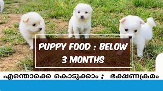 Puppy Food Below 3 Months #Malayalam #Puppy diet chart #puppy care #indian spitz #pomeranian puppy