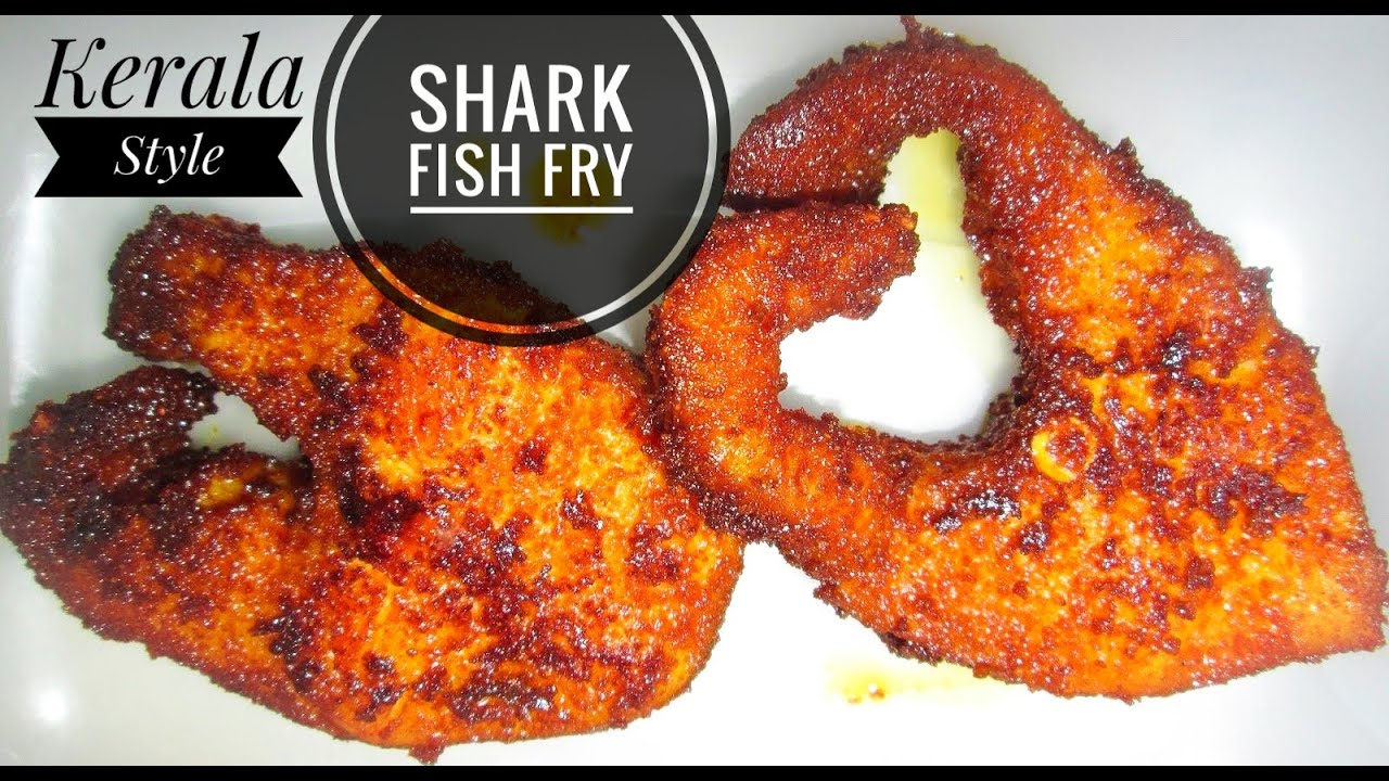 Sharks fish and chicken recipes Sharks fish and chicken recipes
