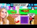 Building A SCAMMER TRAP In Adopt Me! (Roblox)