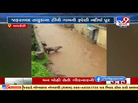 Flash floods in Jafrabad's River after heavy rainfall, Amreli | TV9News