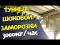 Туннель шоковой заморозки TZF-3000M Флюидизационная  заморозка малины