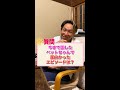 【動物と話す】今まで話したペットちゃんで面白かったエピソード! #Shorts