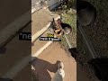 They Said This Dog Was Aggressive 😳