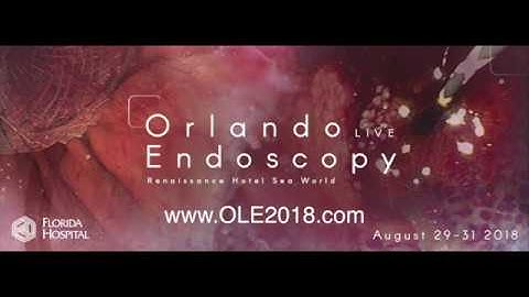 Transpancreatic sphincterotomy OLE18