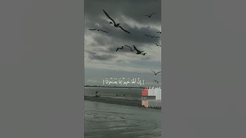 (قل للمؤمنين يغضوا من ابصارهم) قارئ اسلام صبحي