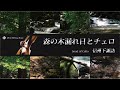 森の木漏れ日とCello信州下諏訪（自然映像とBGM/心身浄化・癒し/作業用BGM）sound of soft cello