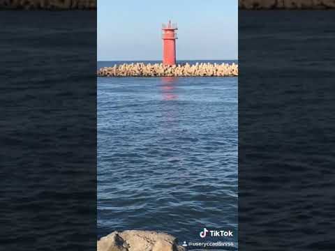 يوم تلات عمرو دياب