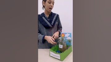 Photosynthesis in Action 🌱 | Student Science Project #trendingnow #shortsfeed #scince