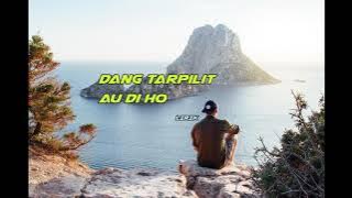 Dang Tarpilit Au Di Ho Lirik || Cover by Lestari Hutasoit