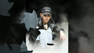 Z.TAO/ Fashion Swag