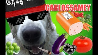 Her Şeyi̇ Yi̇yen Köpeği̇mi̇z Carlos