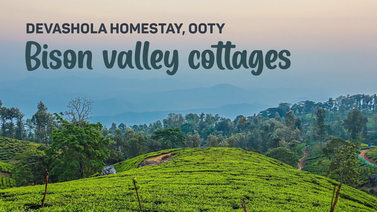 Devashola homestay Bison valley cottages Best places to stay in