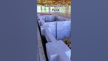 Construction of Pond #fishpond #aquaculture