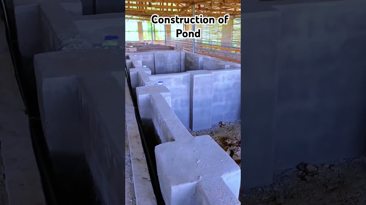 Construction of Pond #fishpond #aquaculture