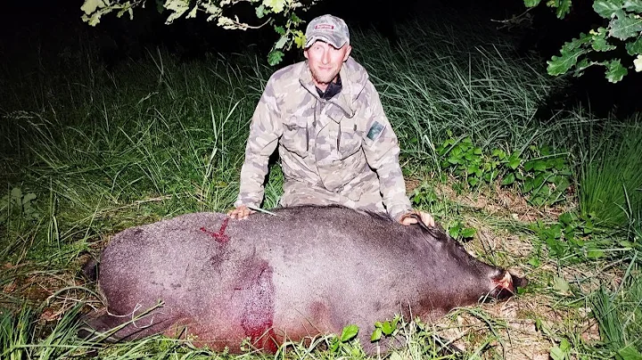 KILLED A HUGE BOAR. BOAR AND ROE DEER HUNTING
