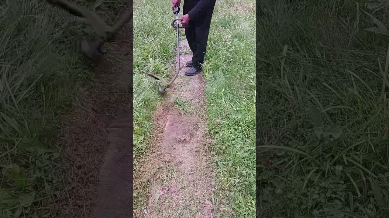 Watch This Sidewalk Trimming 