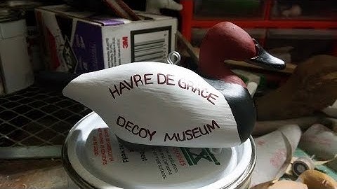 Custom Canvasback Drake