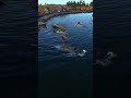 Warthunder Geographic, Episode: Amphibious Squad #tanks #warthunder #warthundergeographic #gaming