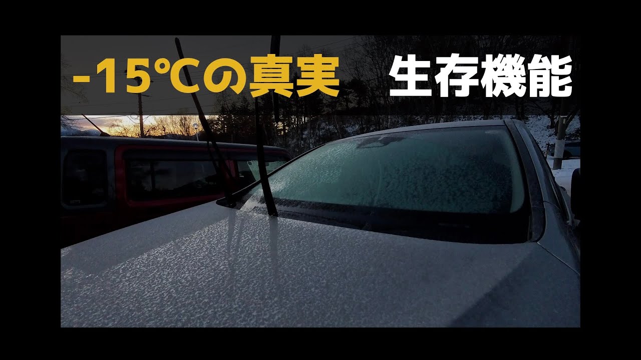 レクサスNX 寒冷地仕様の真実。-15℃の朝、オーナーがやるべき「生存対策」とは？【冬の二拠点生活】