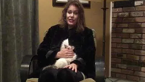 Watch the video about Sasha the Siberian Forest Kitten’s new home