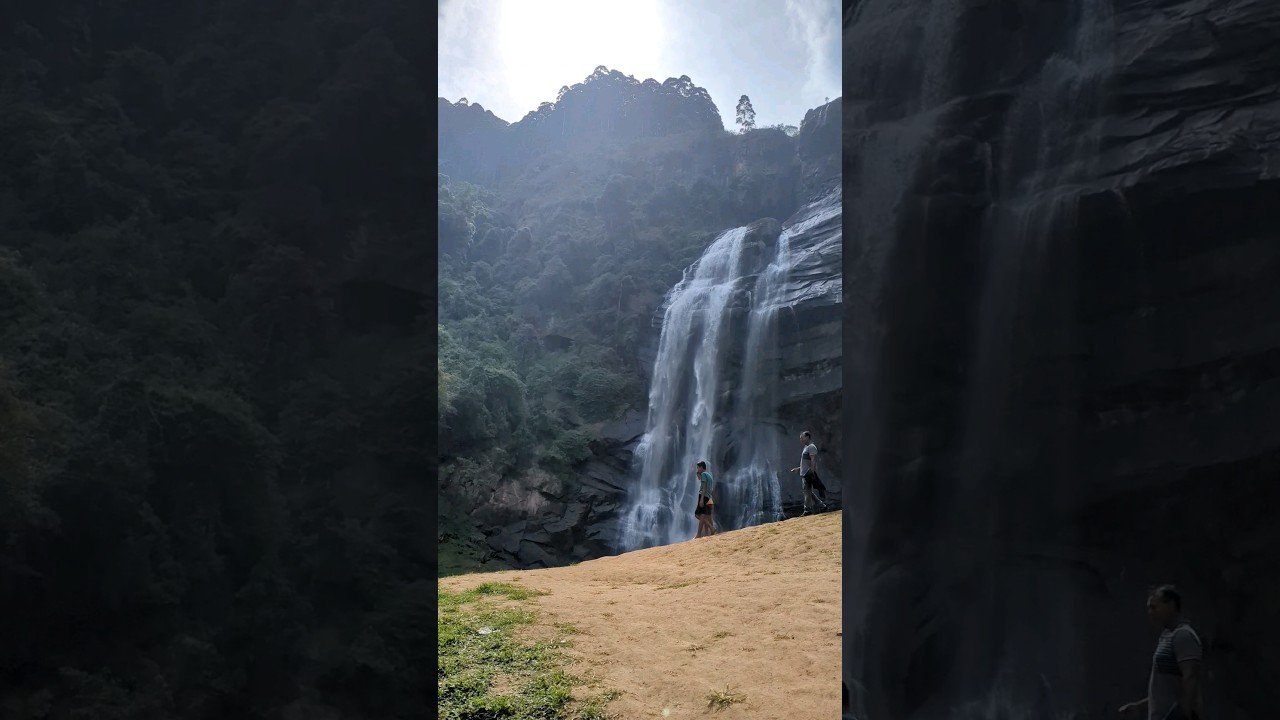 This is Sri Lanka. Ceylon 🇱🇰 