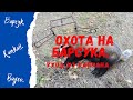 Охота на барсука  Уход из капкана