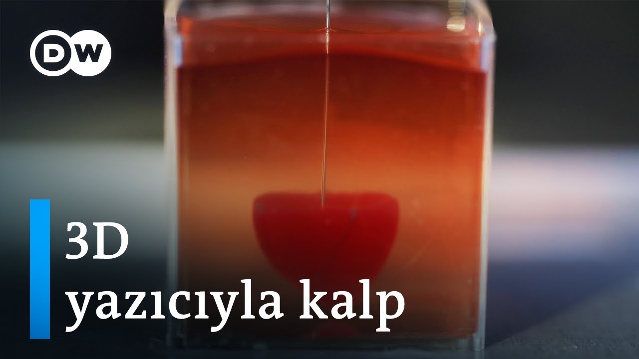 İsrailli bilim insanları kalp üretti - DW Türkçe