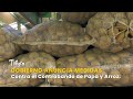 Gobierno Anuncia Medidas Contra el Contrabando de Papa y Arroz – TvAgro por Juan Gonzalo Angel
