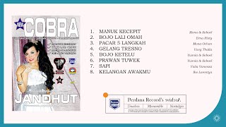 Full Album New Cobra Jandhut vol 14 OK