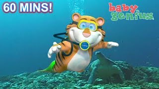 Sea Creatures Baby Genius | Counting Songs | Plus Lots More Nursery Rhymes | 60 Minutes Compilation