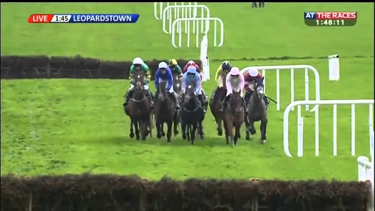 Long Dog Paddy Power Future Champions Novice Hurdle (Grade 1) 2015 YouTube