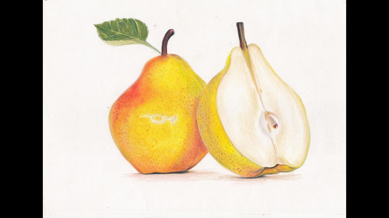 Drawing Fruits 2 - Green Apple - Colored pencils by f-a-d-i-l on DeviantArt