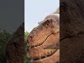 🠸‍⠀️ Super Girl Super Dino Boy Vs Long Necked Long Tailed Dino Epic Smackdown рџ рџ Ґ DinoKids 🠸‍⠀️ Super Girl Super Dino Boy Vs Long Necked Long Tailed Dino Epic Smackdown рџ рџ Ґ DinoKids