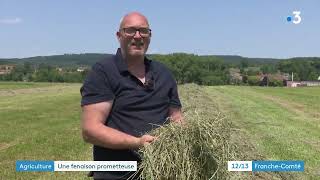 Haute-Saône La Fenaison Riche En Flore Des Prairies Naturelles