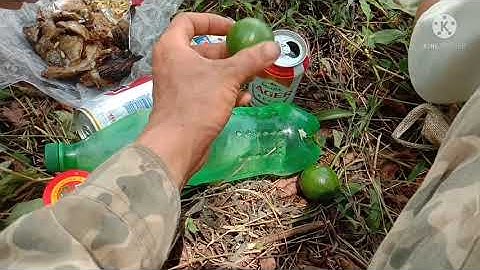 #NHỊPSỐNGSINHTỒNNƠINÚIRỪNG# ĐƯỢC NGÀY ĐI DÃ NGOẠI, CÂU CÁ Ở HỒ (THỦY ĐIỆN SÔNG LÔ 6)