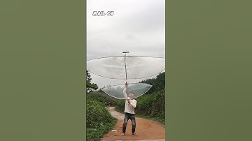 Diều sáo mẹ bồng con 3,8 mét làm một ngày trông như nào | MAIL CV