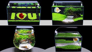 Top 5 Aquarium Decoration Ideas | Diy Aquascape | How To Make Nano Fish Tank From Seeds At Home #121