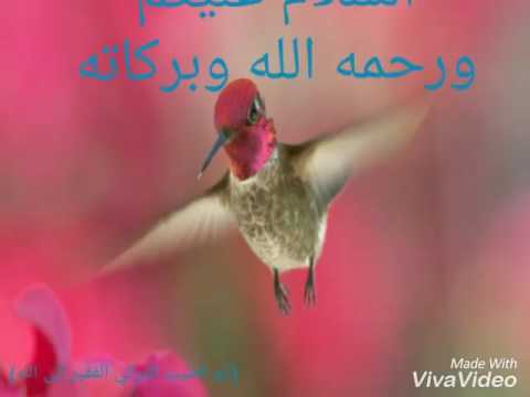 بسبب سوء الظن