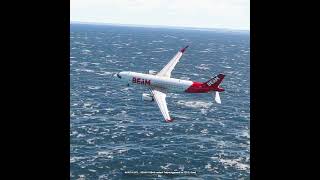 the pilot's actions endangered the plane's passengers EP479