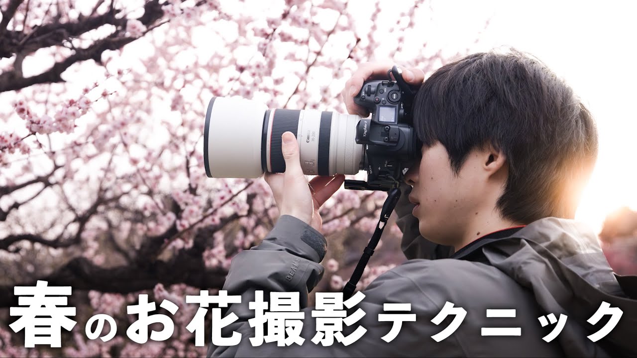 絶対に覚えておくべき花の撮影方法と梅ジローの撮り方