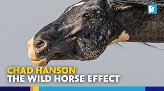 Exploring the Wild Horses of Wyoming with Author Chad Hanson