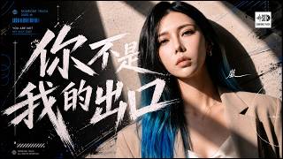 嵐《你不是我的出口》Lyric video｜原來，出口從來不是你｜EMO 情歌｜ #SomeOneTrack #華語流行 #原創音樂 #動態歌詞 #2026新歌 #抒情 #超好聽中文歌