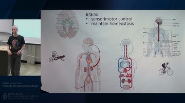 IAS Distinguished Lecture: Prof John Doyle (May 19, 2017)