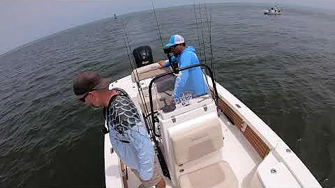 WE THOUGHT IT WAS A FISH!! (DANGEROUS ANIMAL)