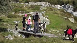 Andermatt Swiss Alps Ag Family Vacation