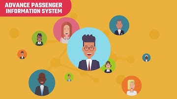 How do DHS and CBP use APIS