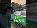 전국 농가분들 추울땐 우드팰렛 총알배송 #농마트 #농마트tv