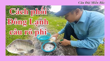 Cách Phối Đông Lạnh Câu Rô Phi | Câu Đài Miền Bắc