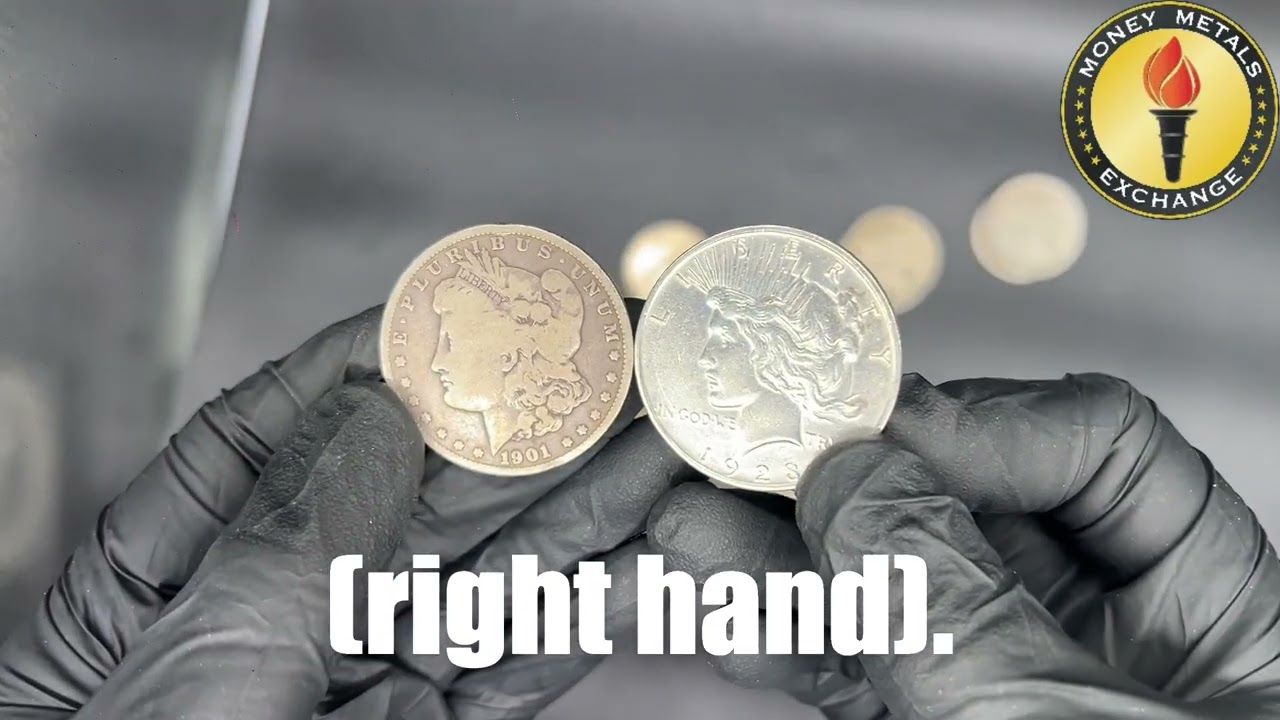Morgan Dollars vs Peace Dollars: What To Know Before Buying