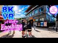 【8K VR】A Walk in Enosjima 1 #5